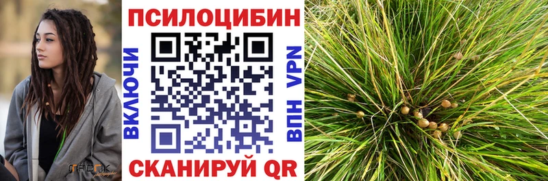 магазин продажи наркотиков  Красный Холм  Псилоцибиновые грибы прущие грибы 